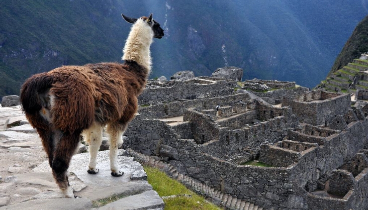Peru Especial